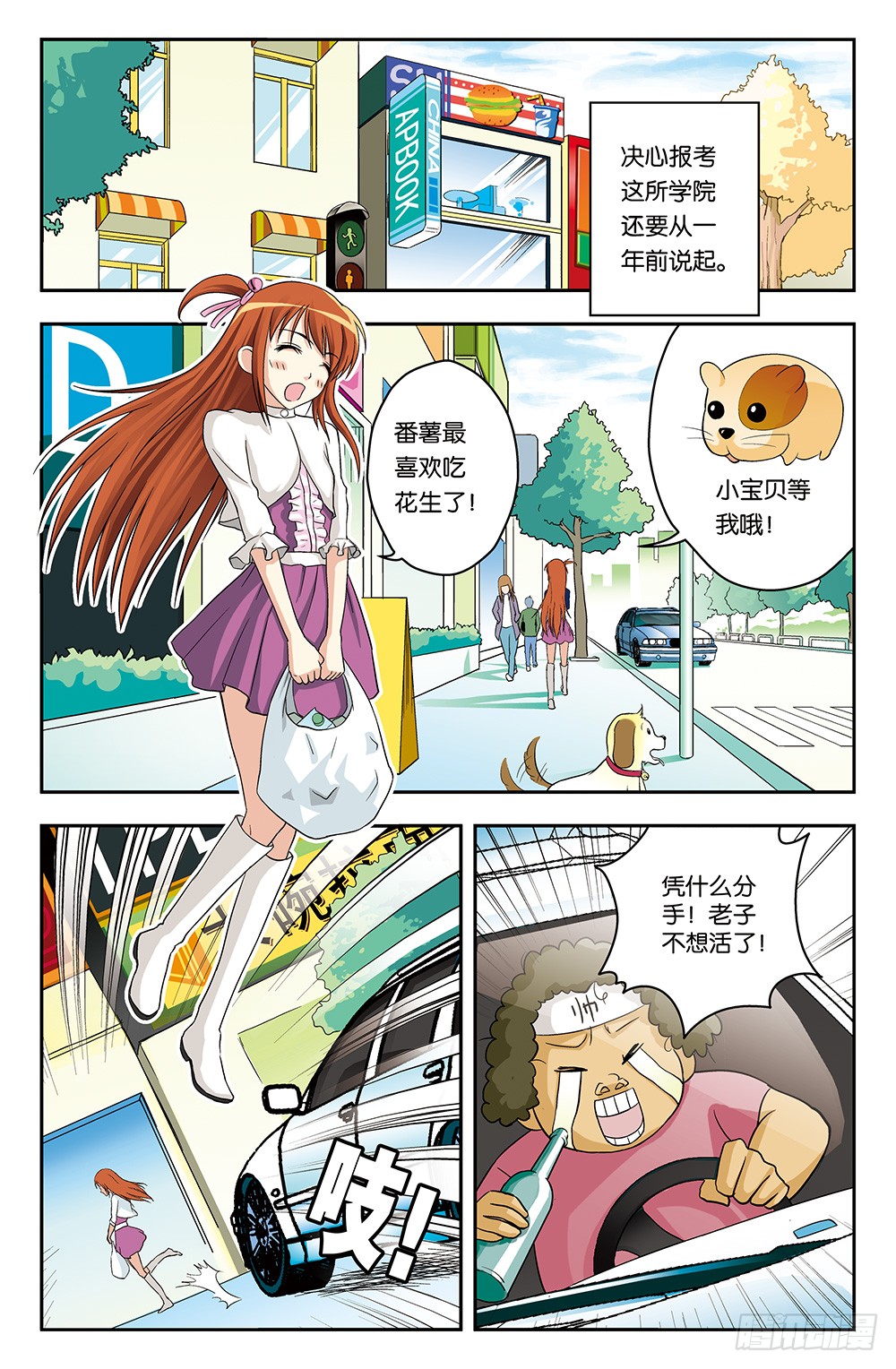 章节图片