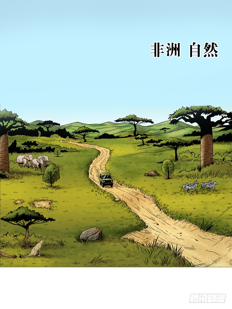 章节图片