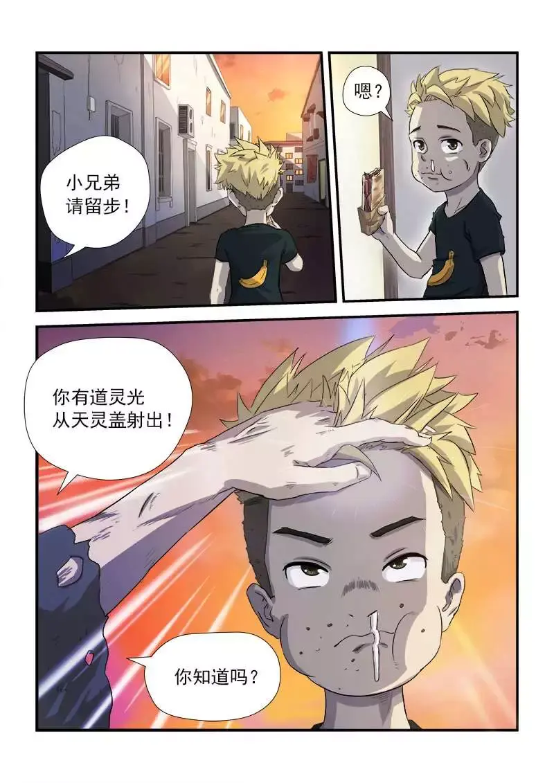 章节图片