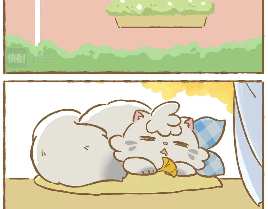 章节图片