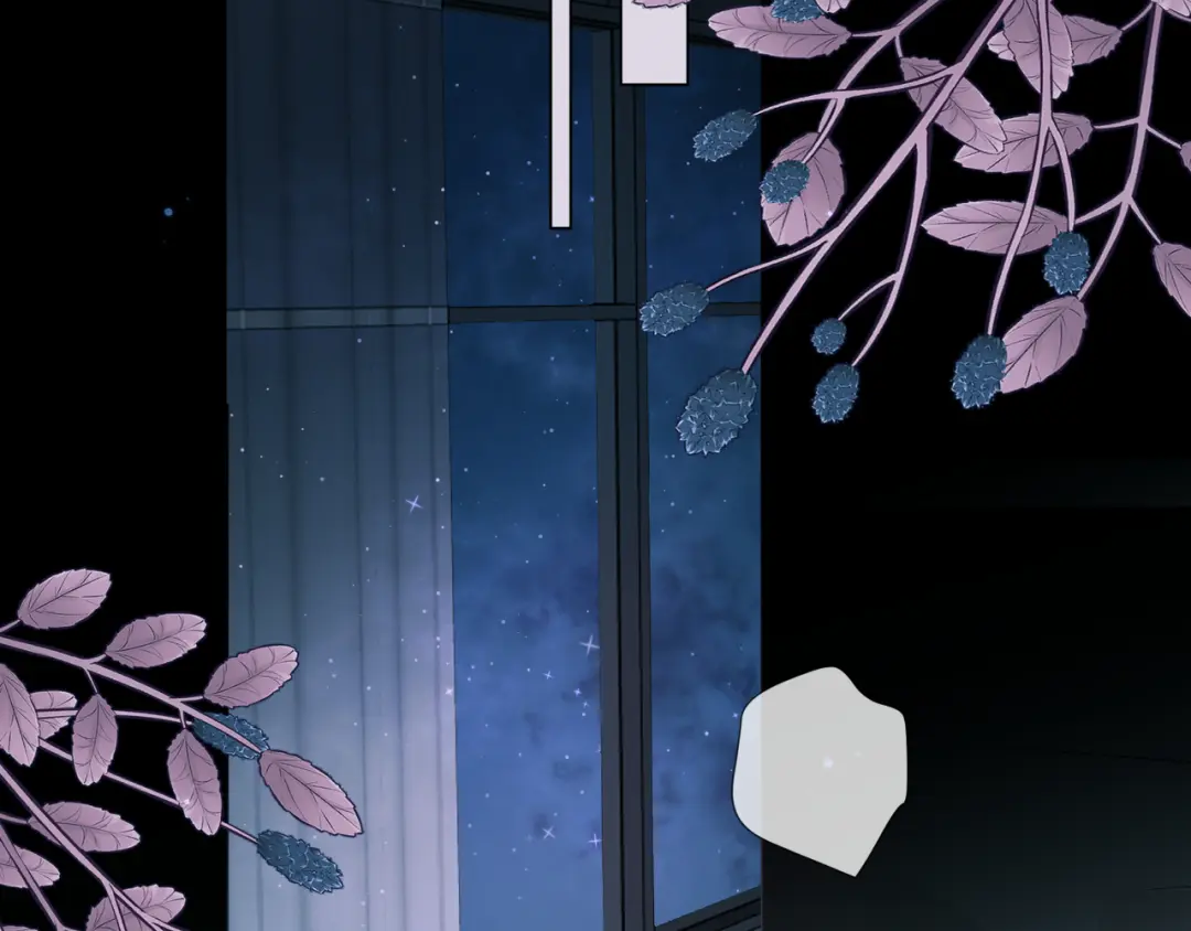 章节图片