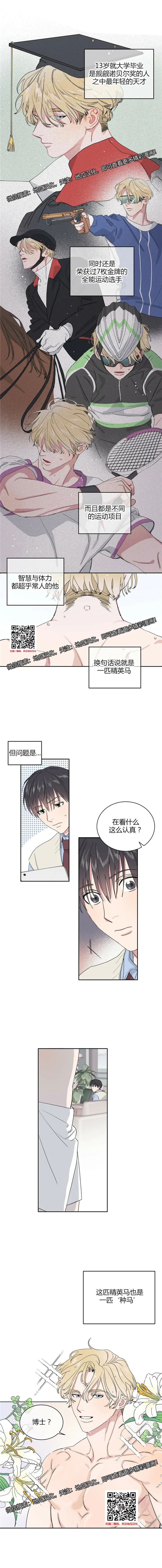 章节图片