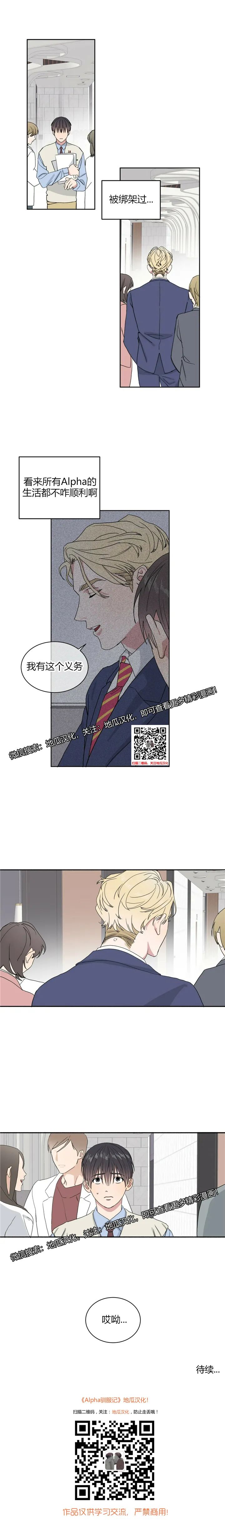 章节图片