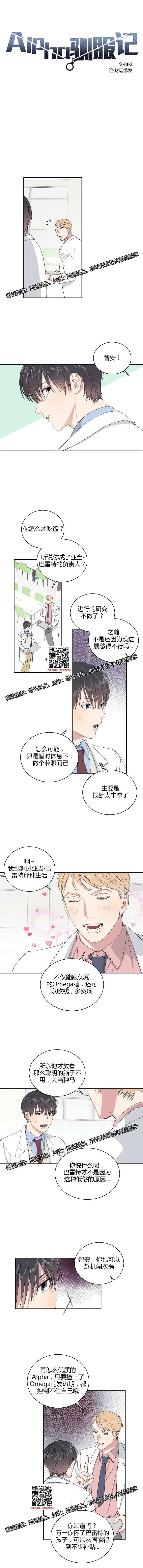章节图片
