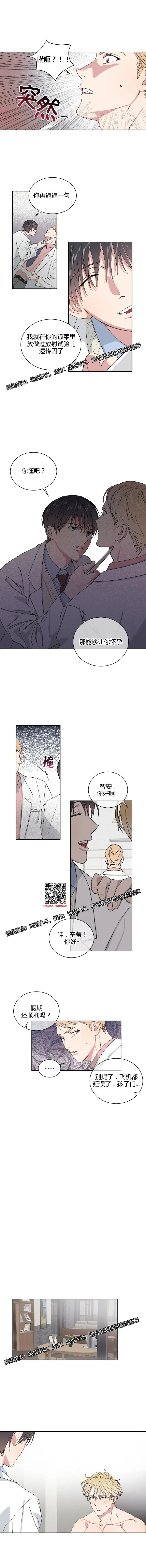 章节图片