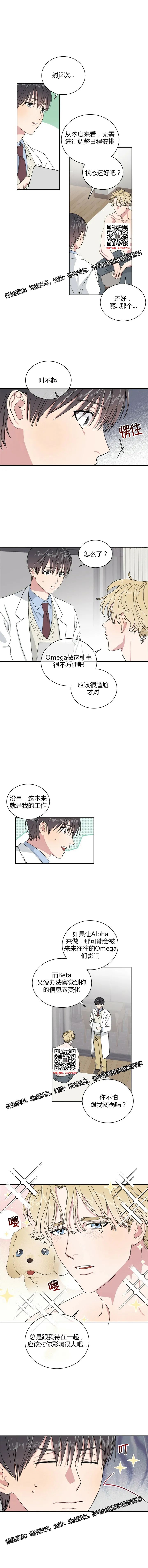 章节图片