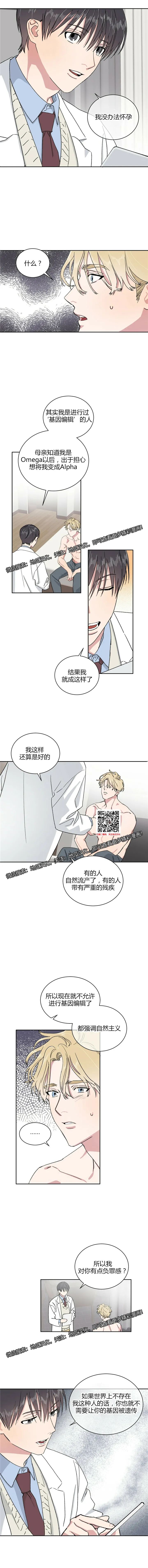 章节图片