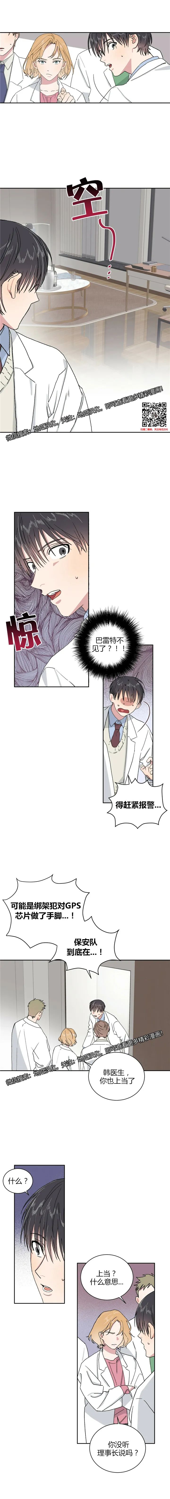 章节图片
