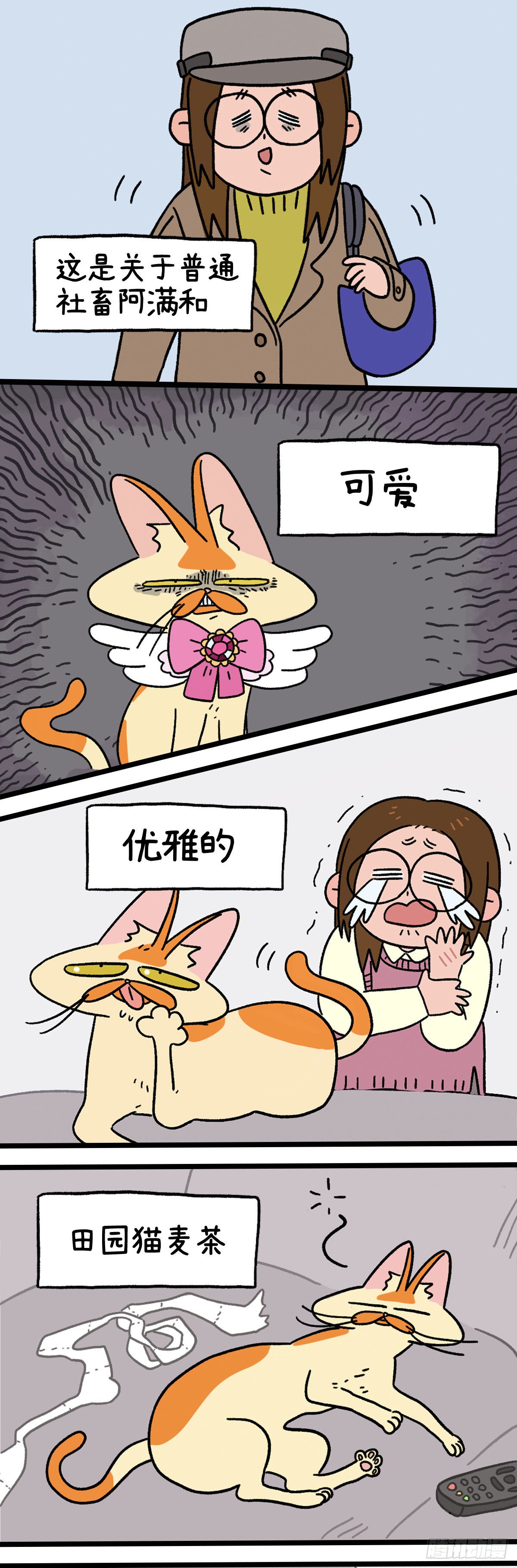 章节图片