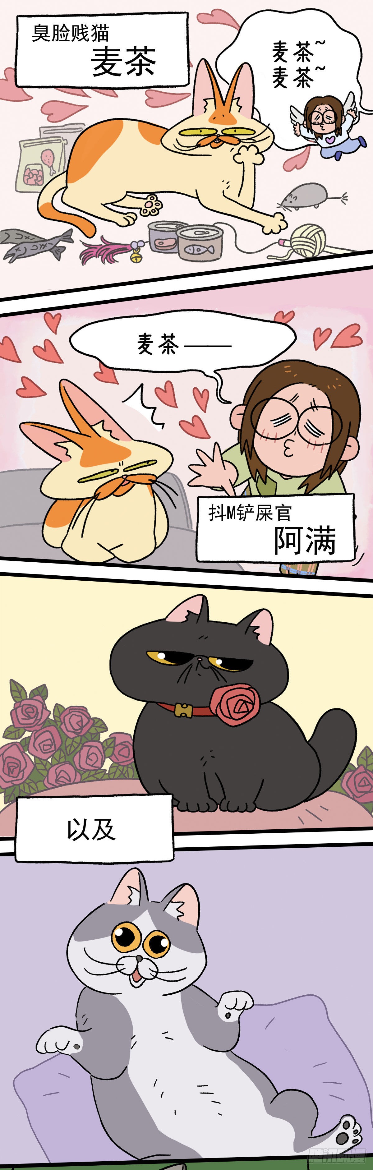 章节图片