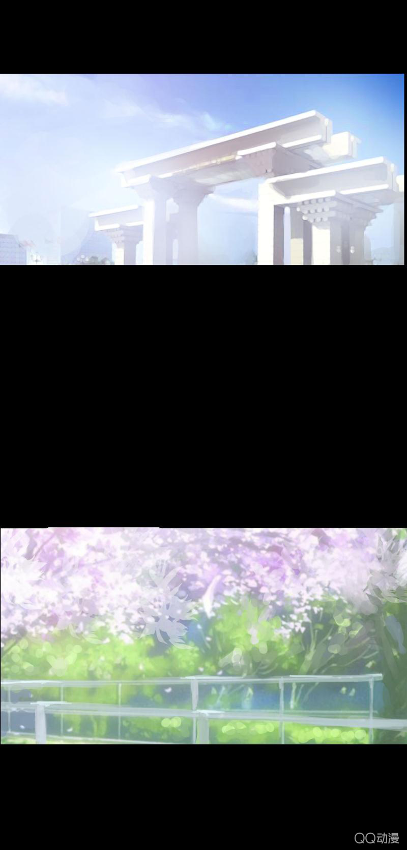 章节图片