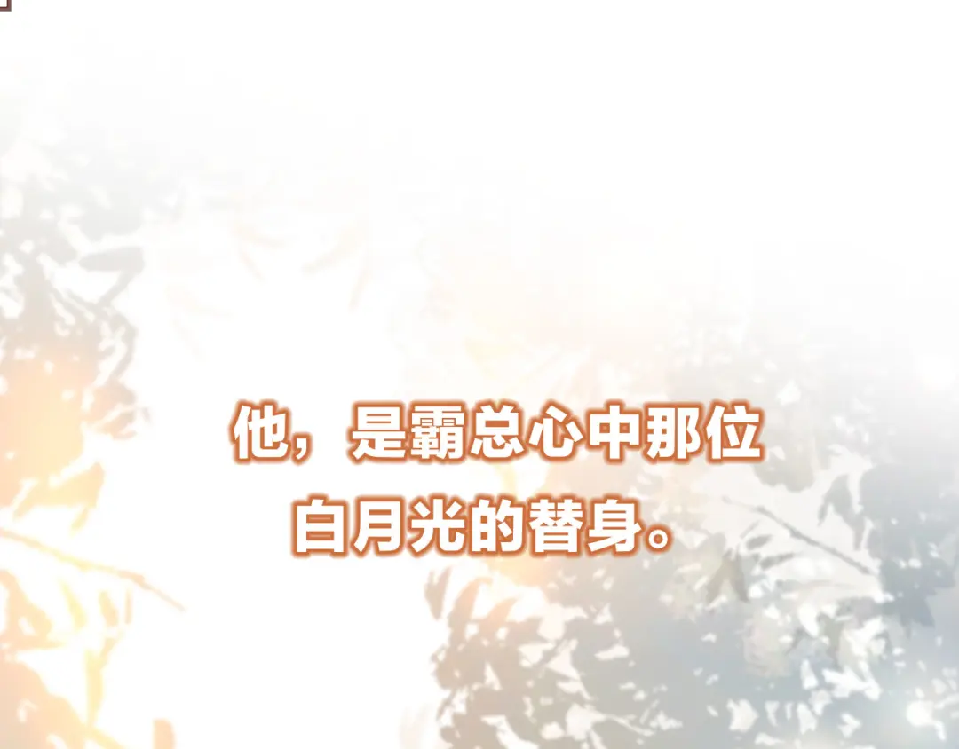 章节图片