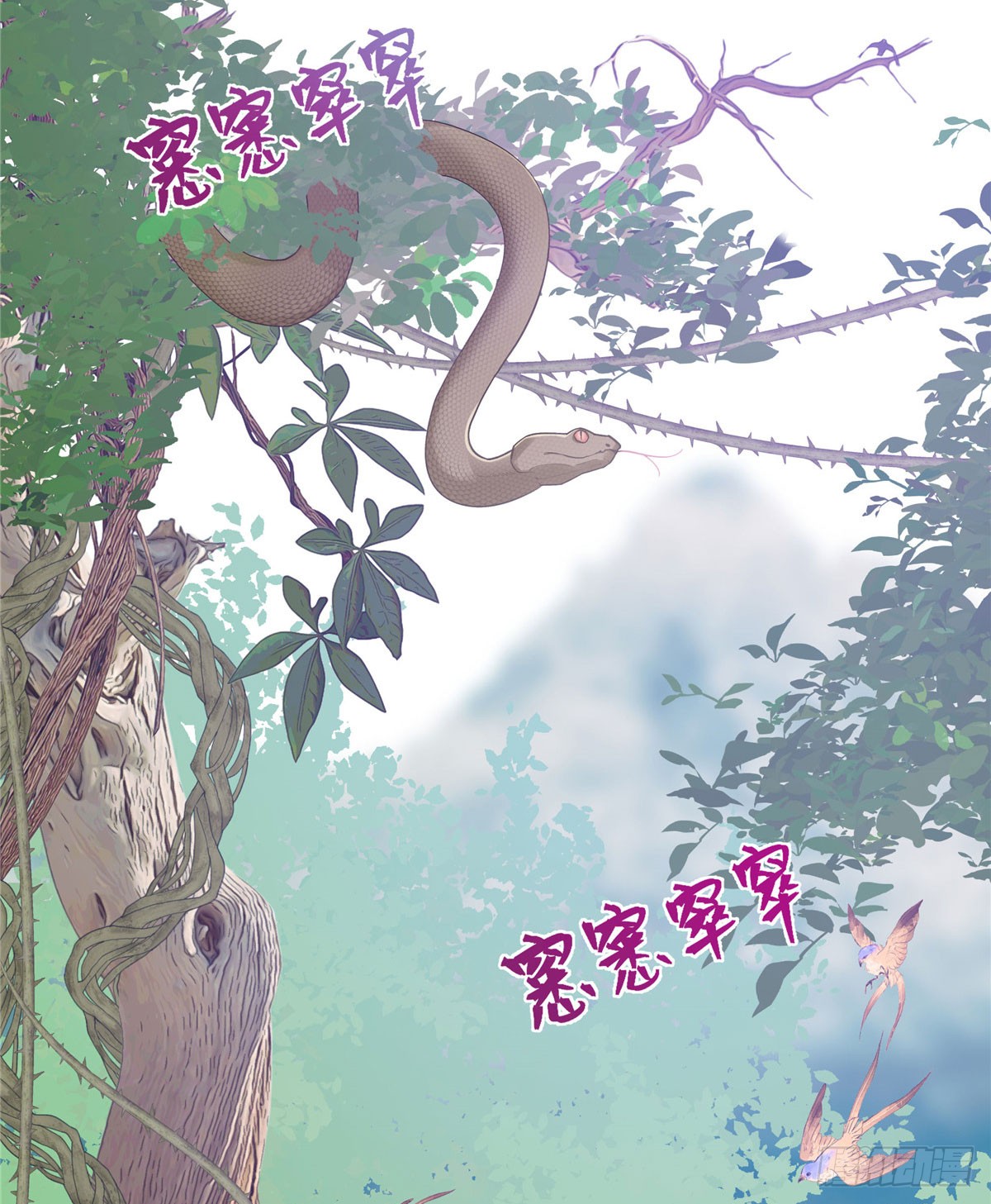 章节图片