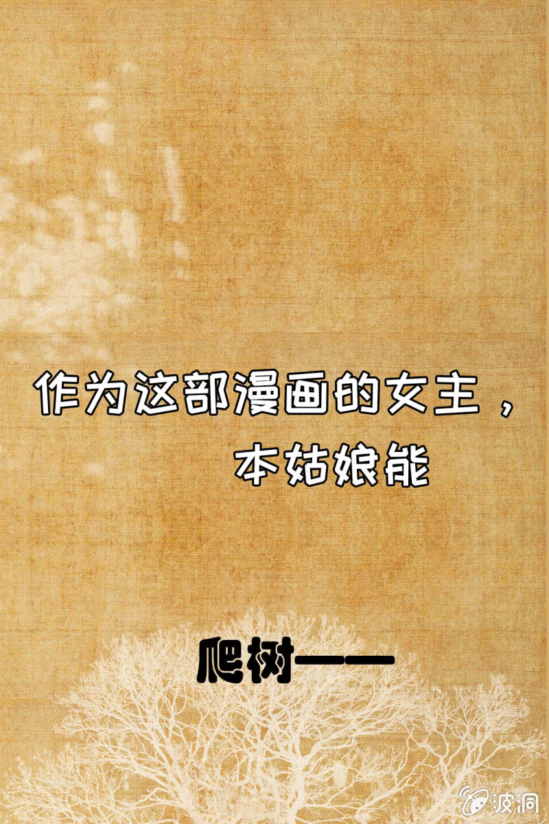 章节图片