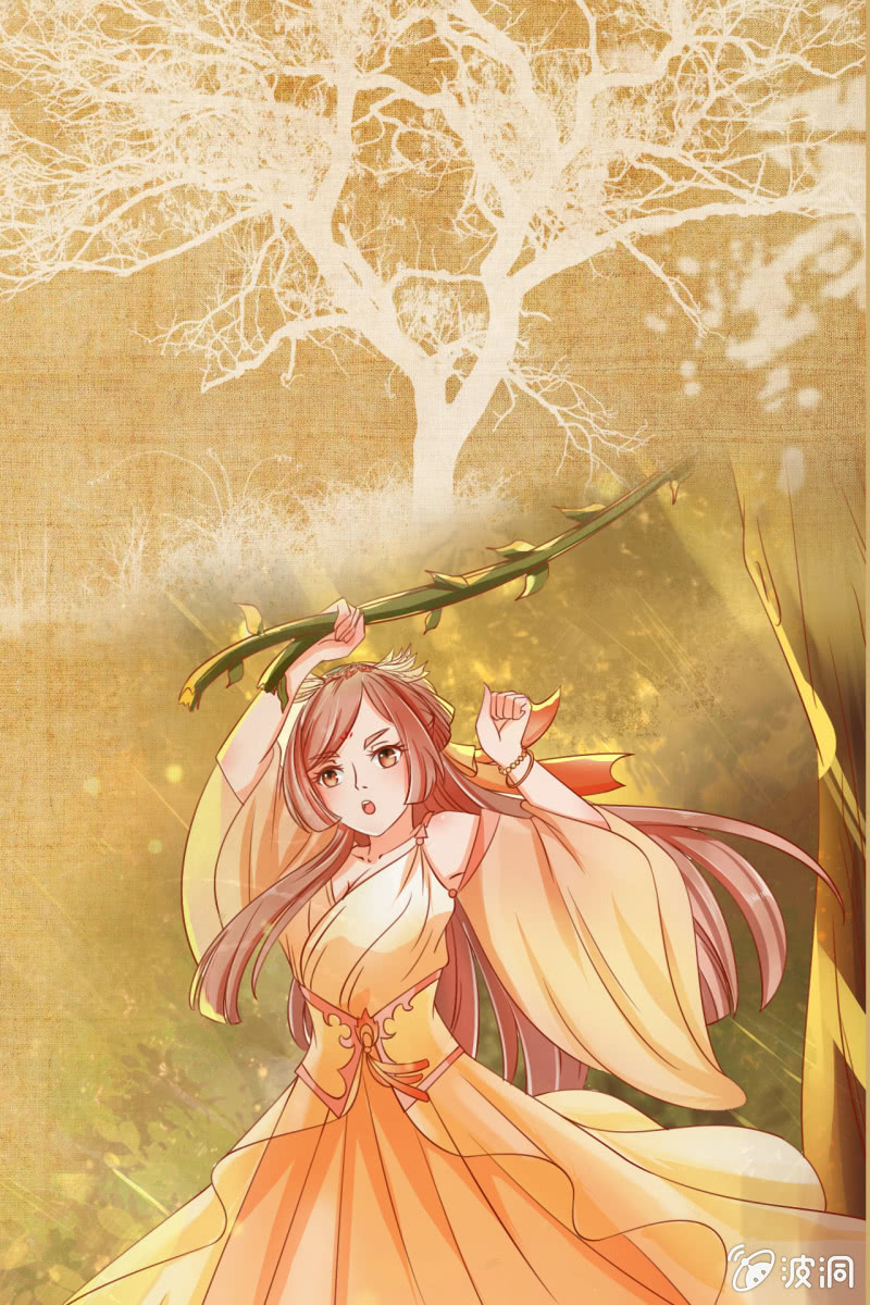 章节图片