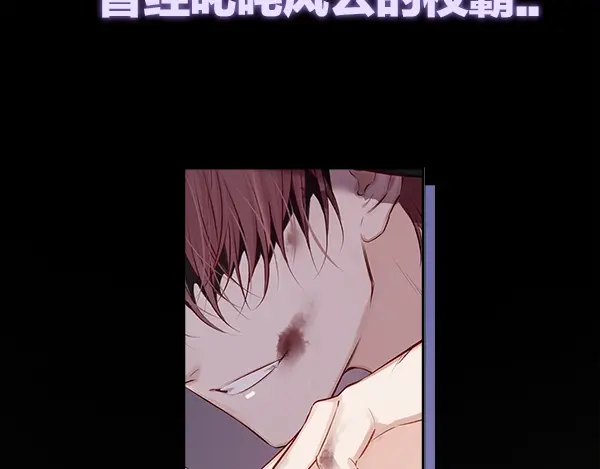 章节图片