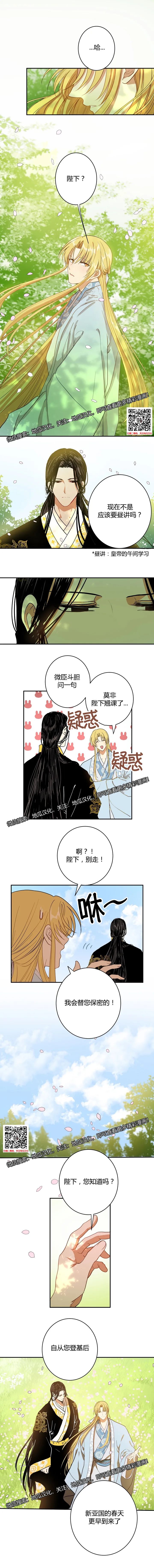 章节图片