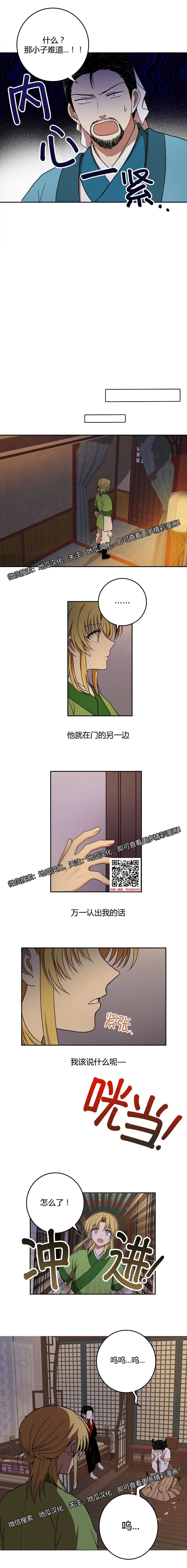 章节图片