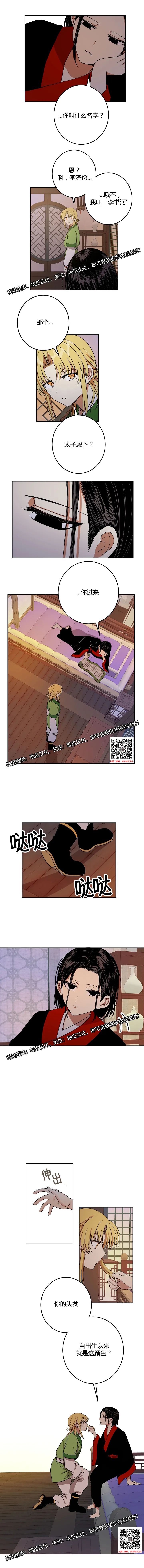 章节图片