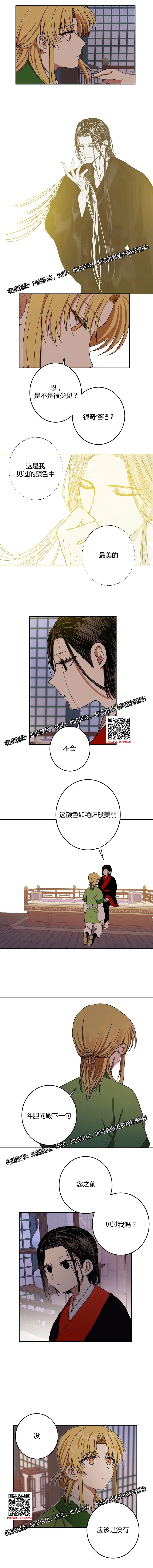 章节图片