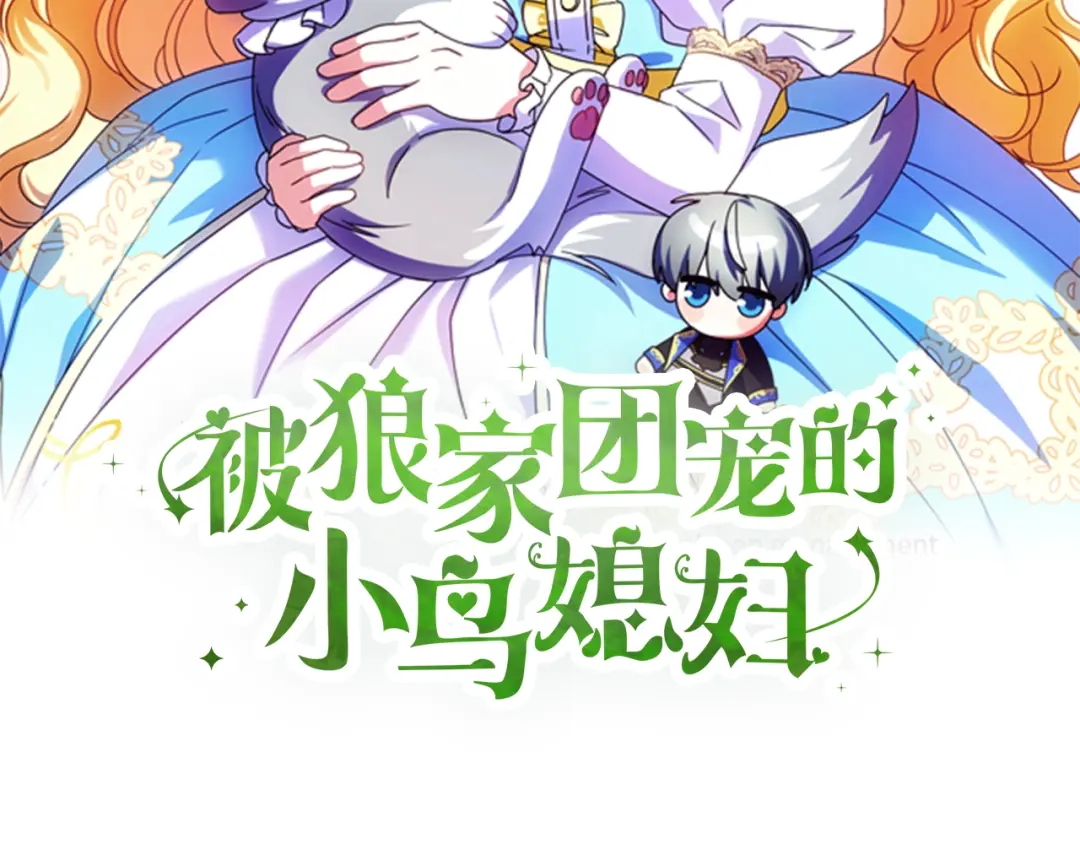 章节图片