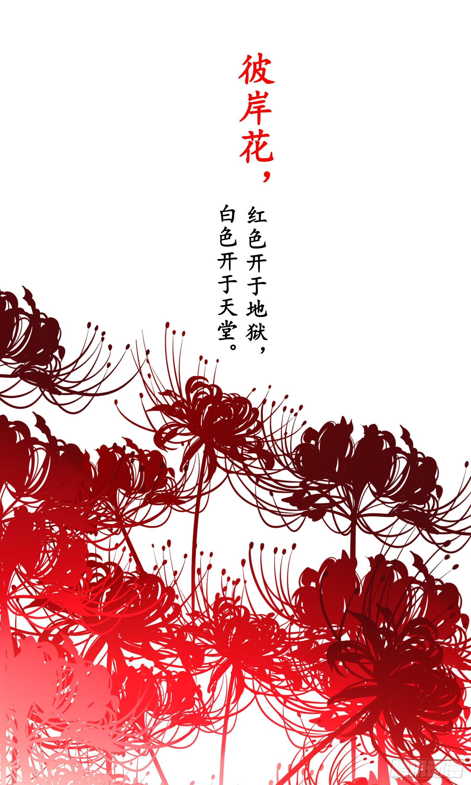 章节图片