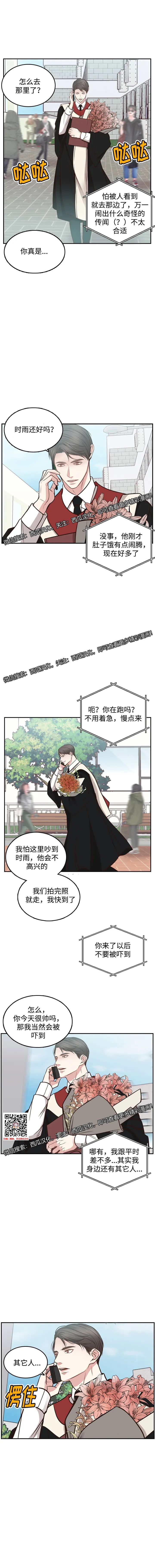 章节图片