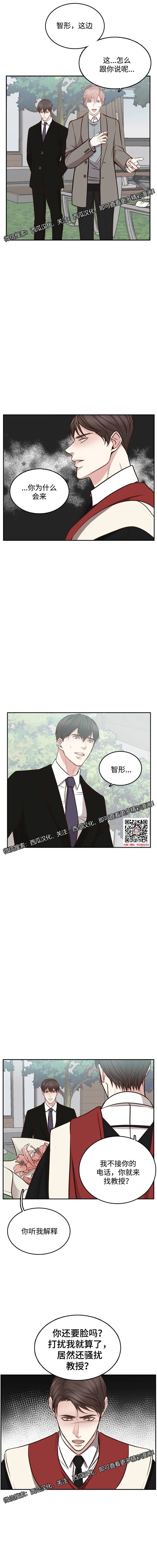 章节图片