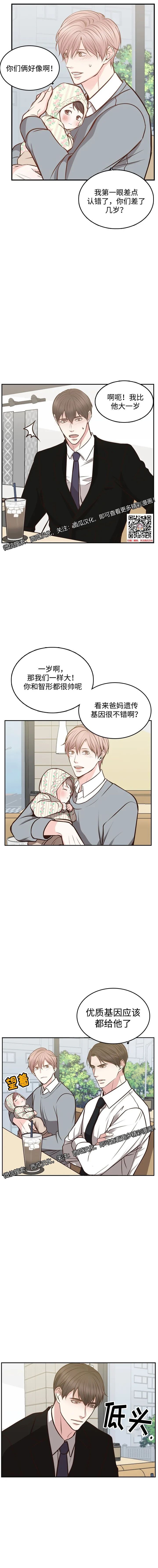 章节图片