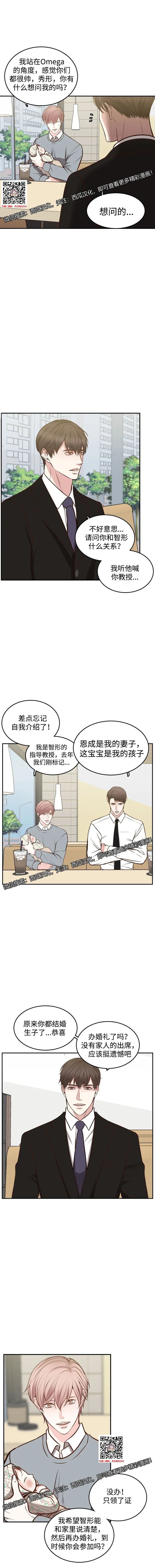 章节图片