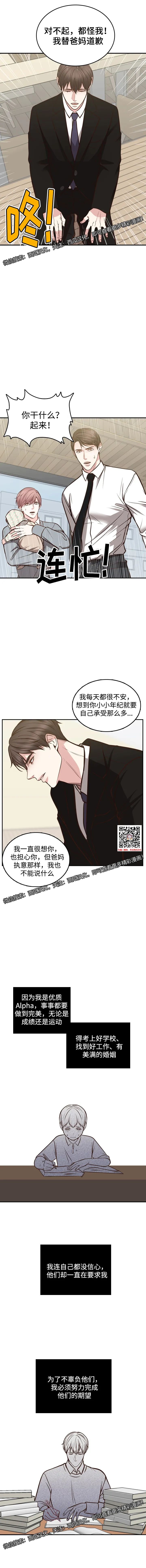 章节图片