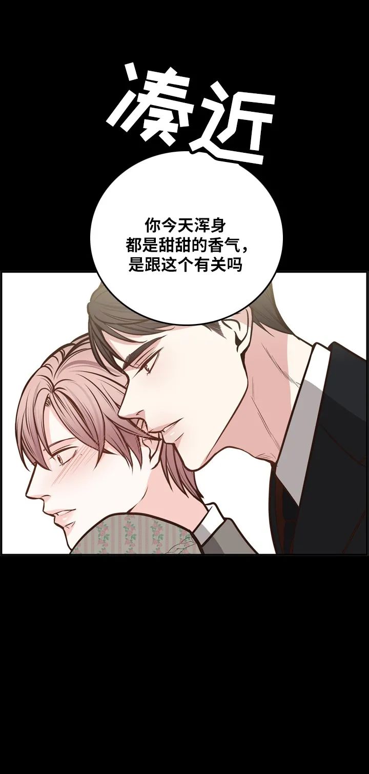 章节图片