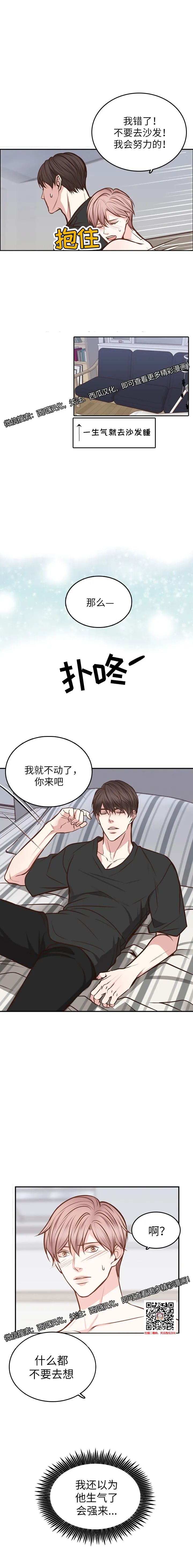 章节图片