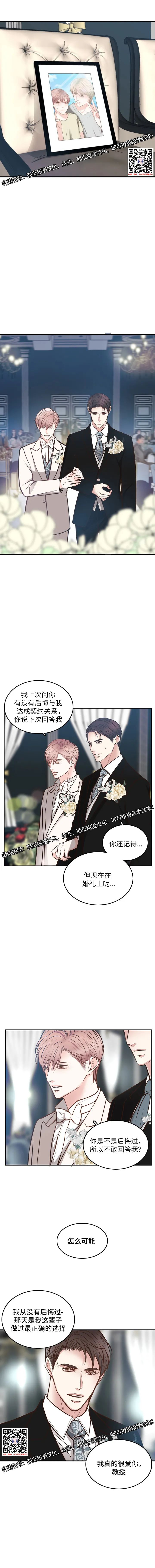 章节图片