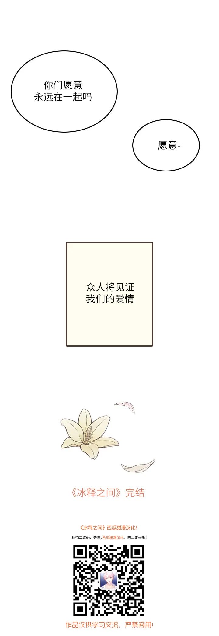 章节图片