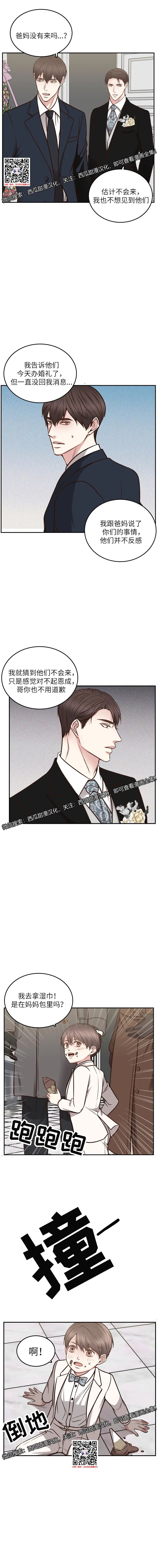 章节图片