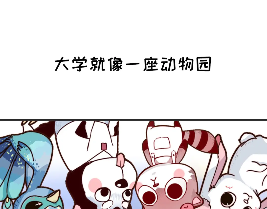 章节图片