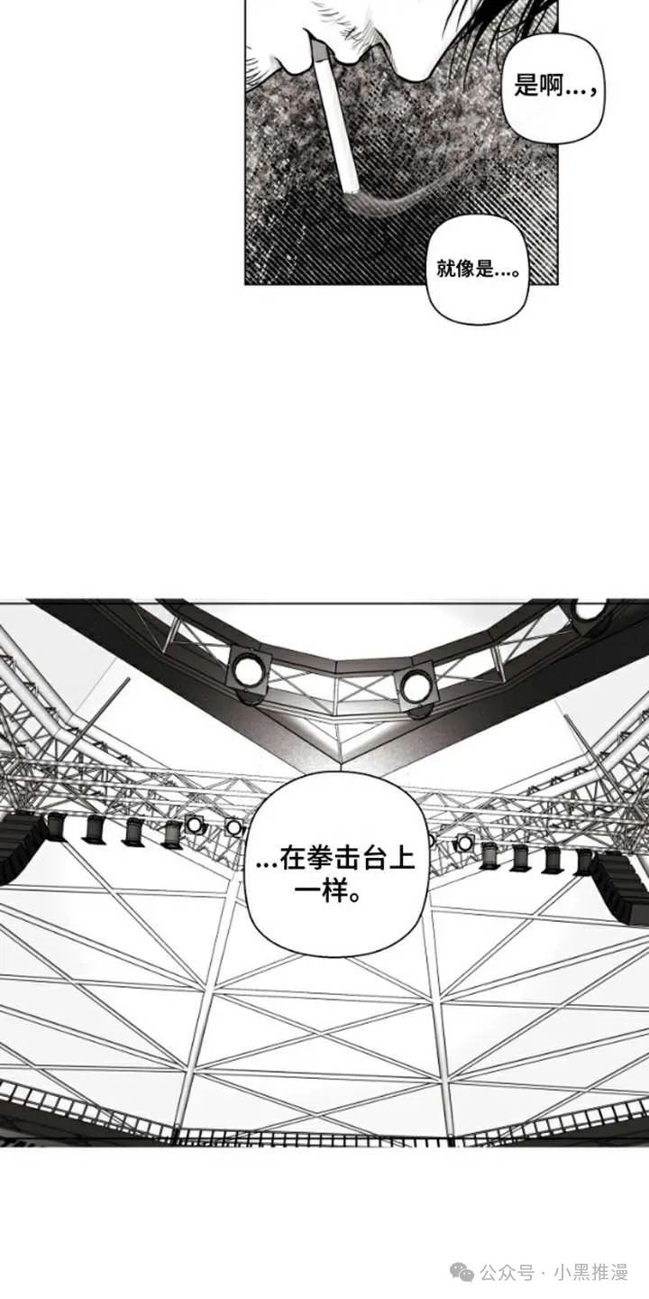 章节图片