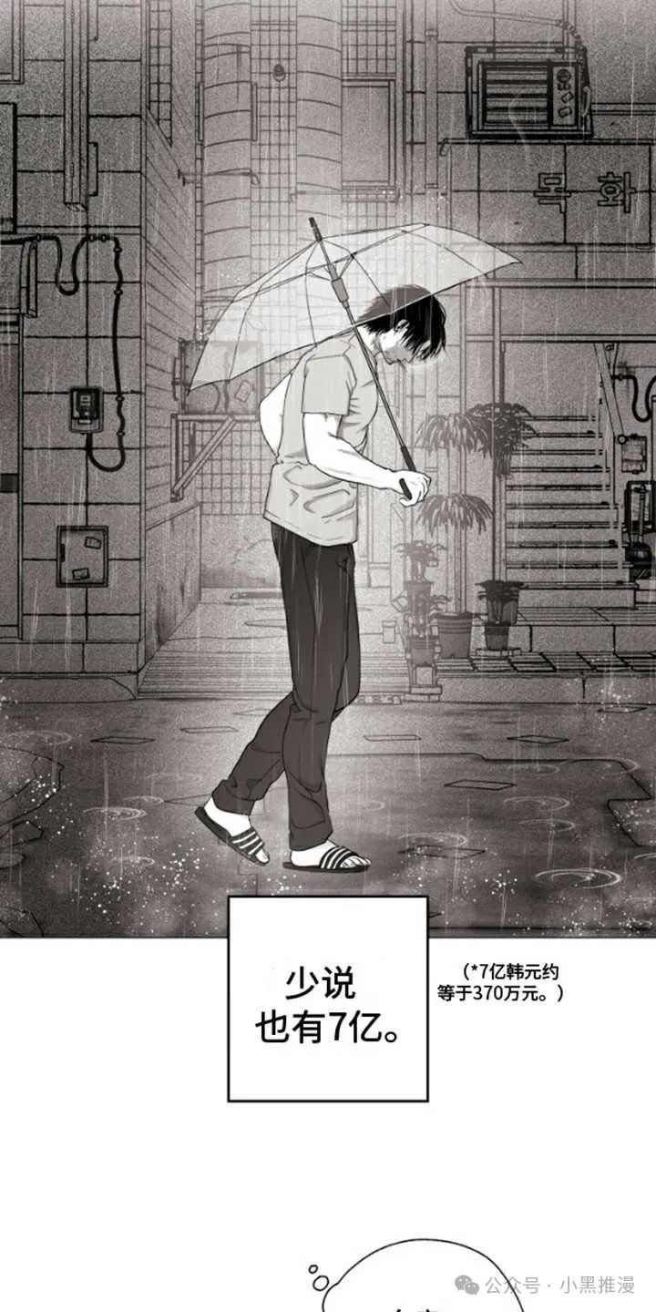 章节图片