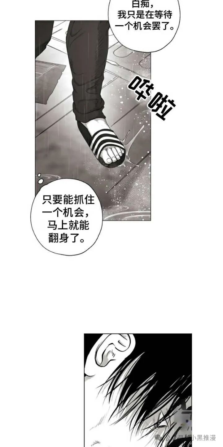 章节图片