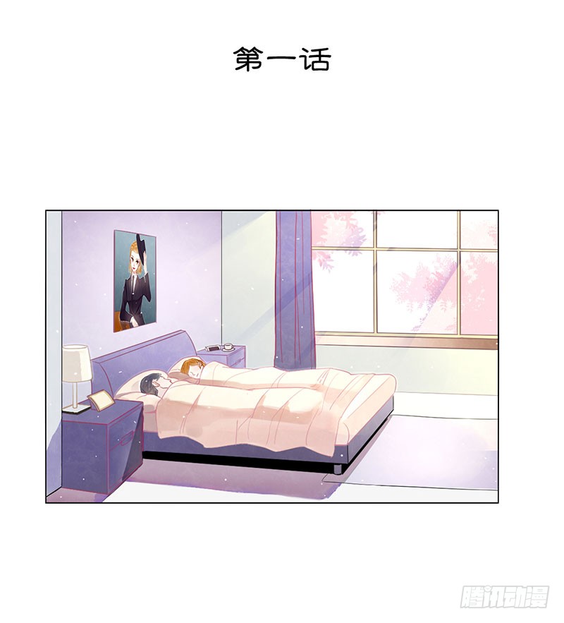 章节图片