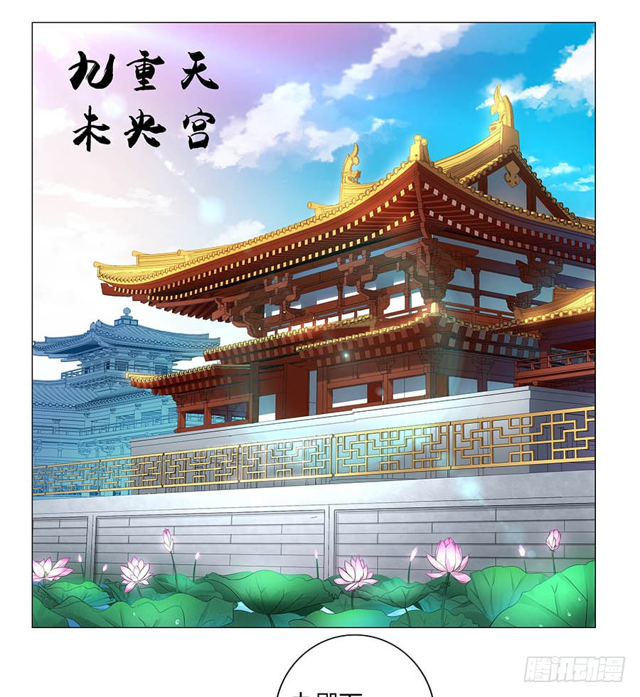 章节图片