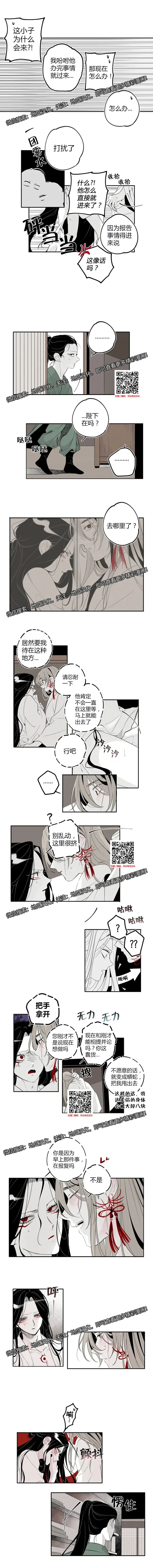 章节图片