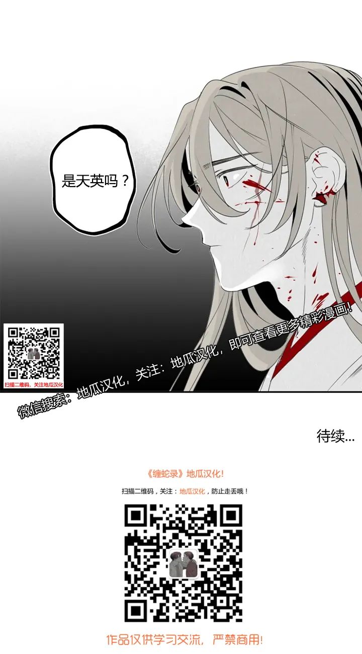 章节图片