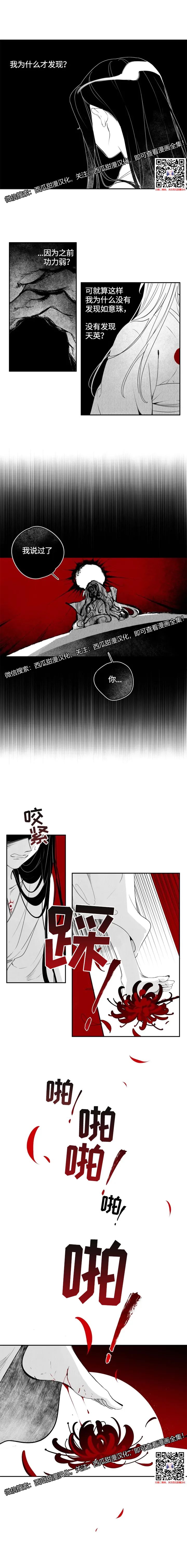 章节图片