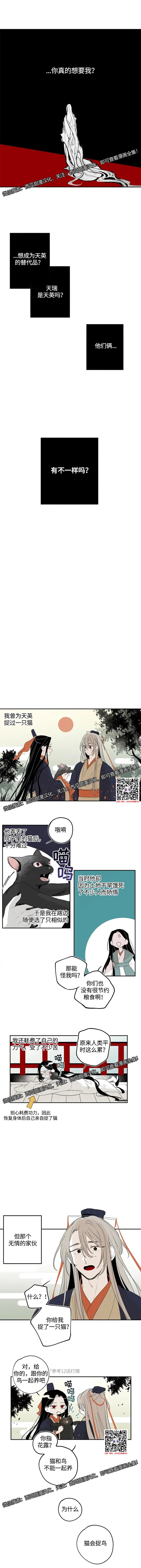章节图片