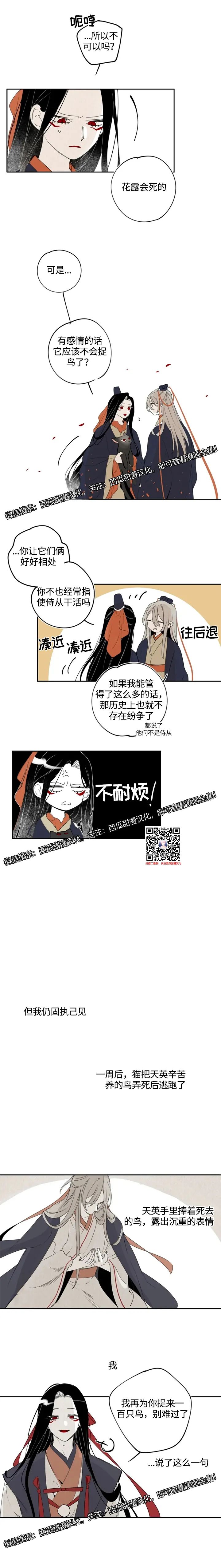 章节图片