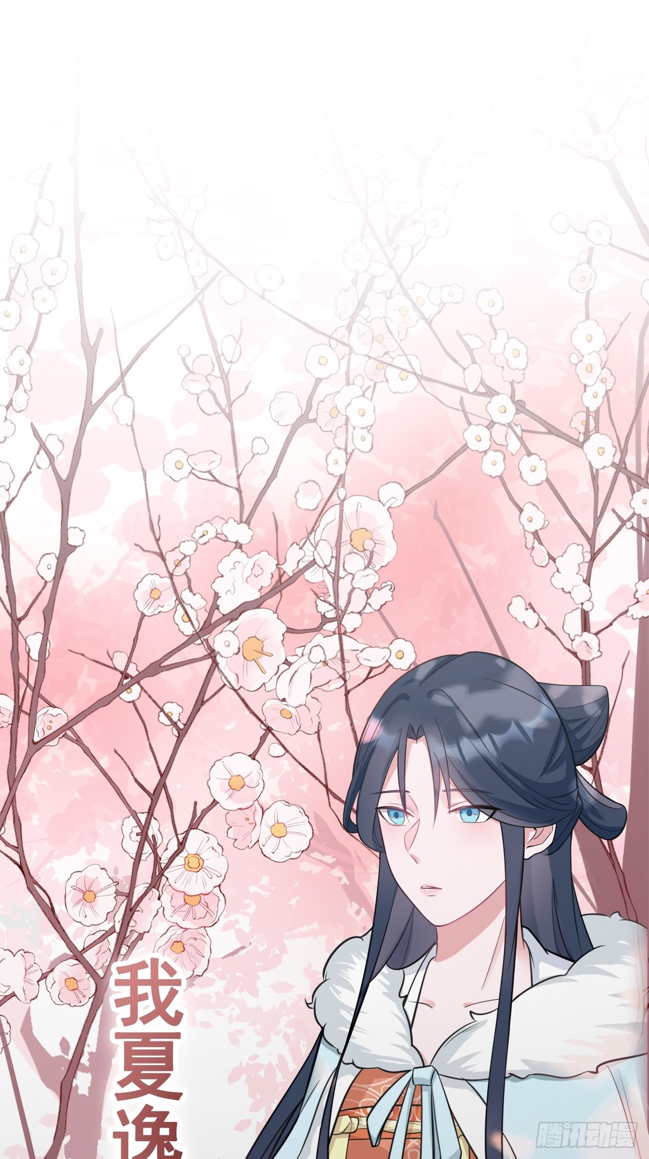 章节图片