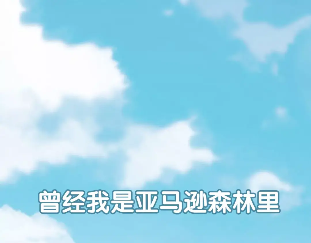 章节图片