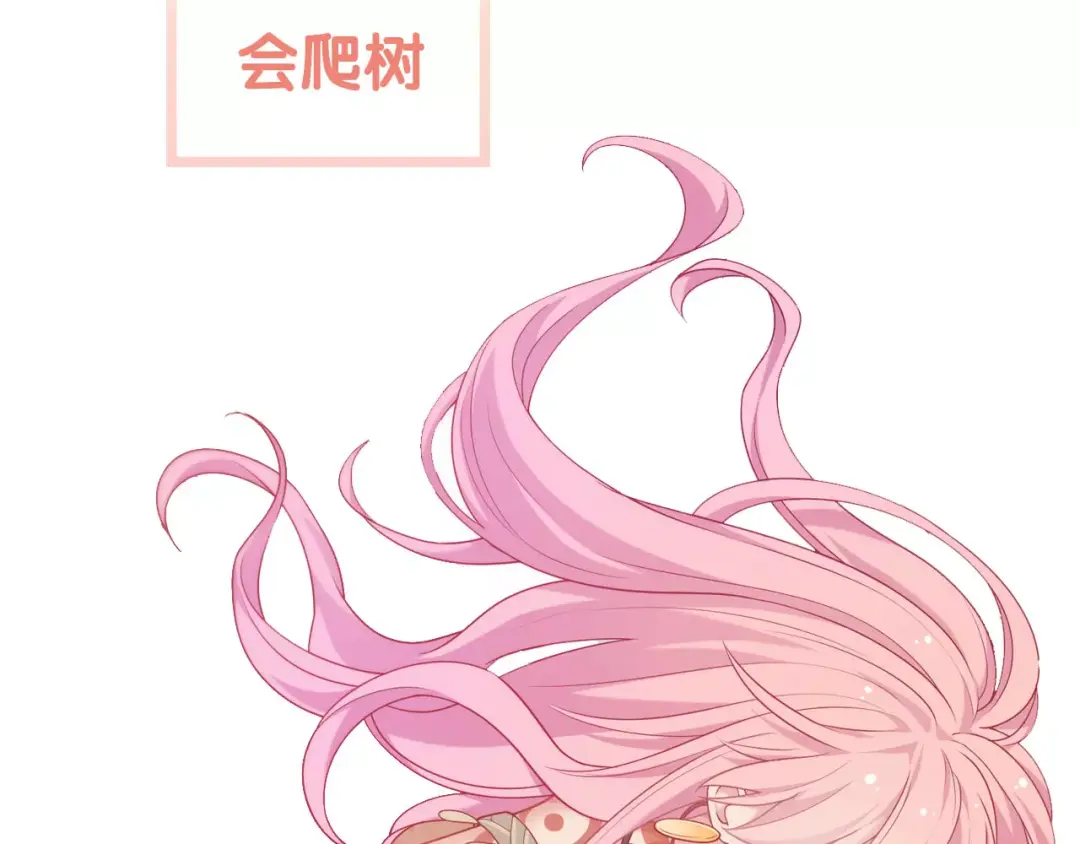 章节图片